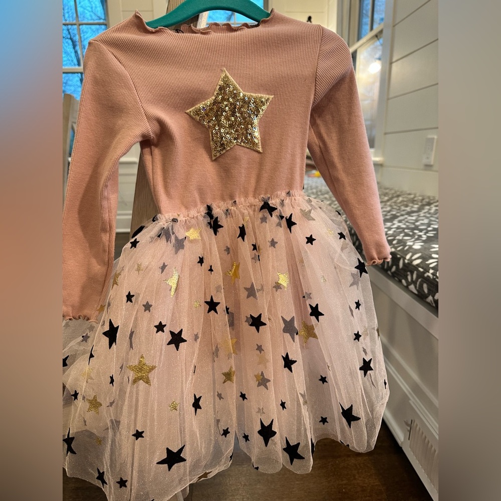 Petite Hailey Mia 2 Tutu Dress Pink, Sz 2 NEW w/TAGS